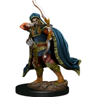 D&D Premium Painted Figures Elf Rogue Male