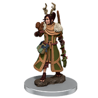 D&D Premium Painted Figures Human Druid Female