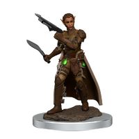 D&D Premium Painted Figures Shifter Rogue Female