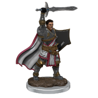 D&D Premium Painted Figures Human Paladin Male