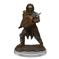 D&D Premium Painted Figures Human Fighter Male