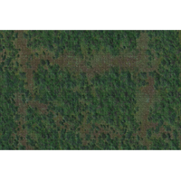 D&D Icons of the Realms Forest Battle Mat