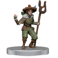 D&D Icons of the Realms Dragonlance Warrior Set