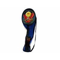 Badminton Racquet & Ball Set
