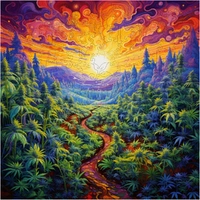 Trippy Puzzles - 300 Pce Wood Jigsaw Kaleidokush