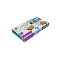 Stamper Dino Maker Kit