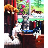 Puzzle - Sunsout - Playtime In The Study 1000Pc