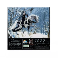 Puzzle - Sunsout - Chance Encounter 1000Pc