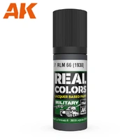 AK Interactive - Real Colours -Rlm 66 (1938) 17 ml