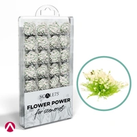 Scale 75 - Accessories - White Flowers