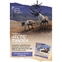 Nature - Arctic Tundra
