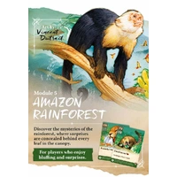 Nature - Amazon Rainforest