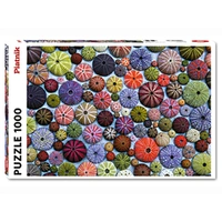 Puzzle - Piatnik - Sea-Urchin Shells 1000Pc