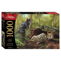 Puzzle - BMS - Safe Haven 1000Pc