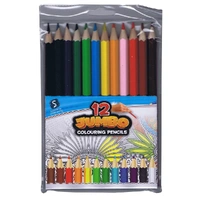 Puzzle - Jumbo Colouring Pencils (12)