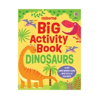 Big Activity Book Dinosaurs