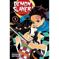 Demon Slayer: Kimetsu No Yaiba; Vol. 1:Demon Slayer: Kimetsu No Yaiba