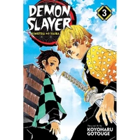 Demon Slayer: Kimetsu No Yaiba; Vol. 3:Demon Slayer: Kimetsu No Yaiba