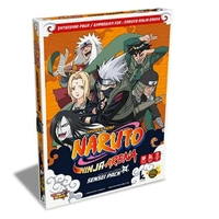 Naruto Ninja Arena Sensei