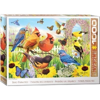 Puzzle - Backyard Birds 1000pc