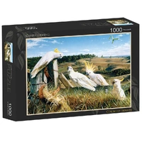 Puzzle - Garry Fleming Country Senate